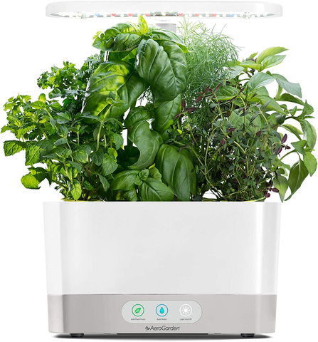 Herb Garden Gift Idea