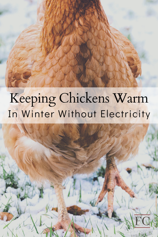 Keep Your Chickens Warm