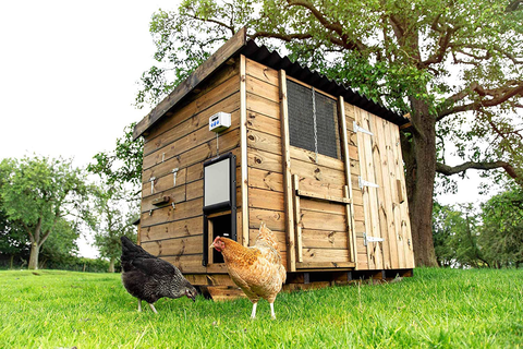 Chickenguard chicken coop door