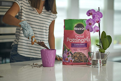 Best orchid potting mix