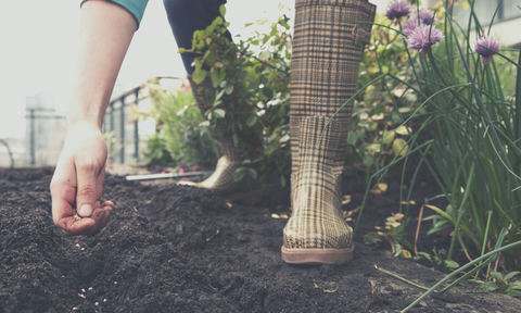 Planting Gifts