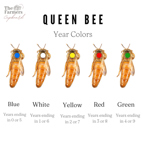 Queen bee year colors for marking
