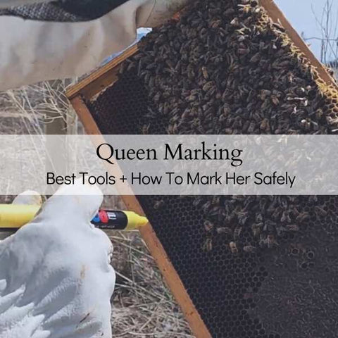Marking Queen Bees