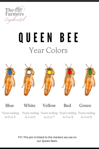 5 Colors for marking a queen bee