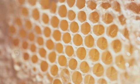 Raw honeycomb beeswax
