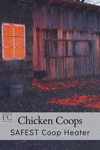 Safest Chicken Coop Heater