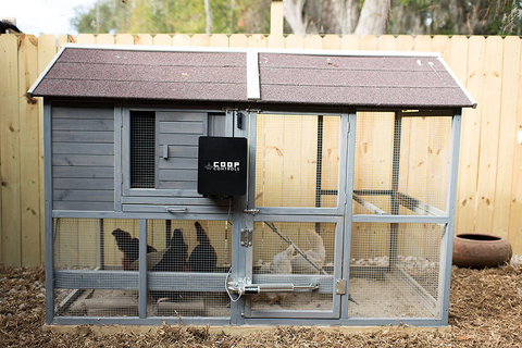 Coop controls auto door on a chicken coop