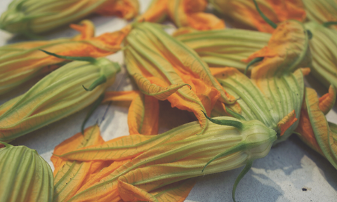 Pumpkin flowers for frying