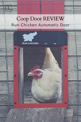 Best Chicken Coop Door