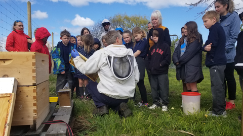 A lesson on honey bees and beekeeping