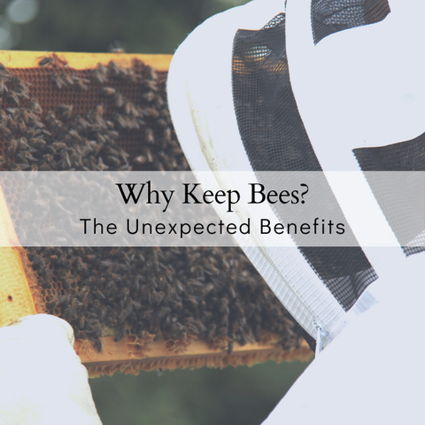 Why people keep bees