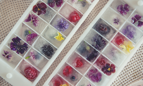 Flowers in ice cubes