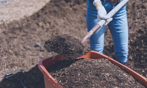 Potting soil recipe