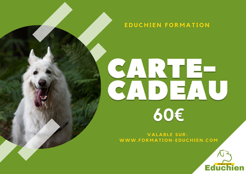 carte cadeau EDUCHIEN carte pour noêl à offrir sateg et formation canine éducateur canin éducation chien formation chiot formation éducateur canin comportementaliste canin toute l'éducation du chiot éducation chien chiot stage d'agility obéissance canine clicker training club canin Yvelines île-de-france Paris