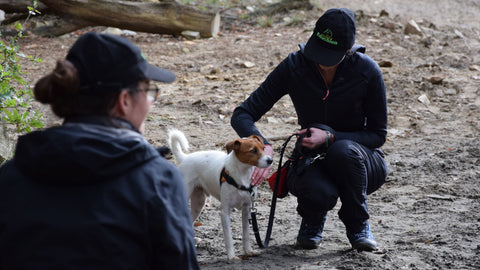 formation éducateur canin Yvelines 78 île-de-france Paris diplôme d'éducation canine positive élève de la formation de novembre 2022 Educhien formation Educhien78