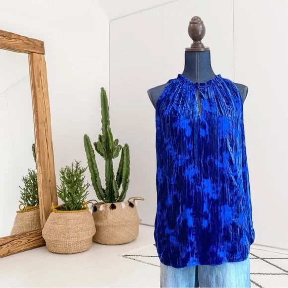 Silk Velvet Ruffle Neck Top