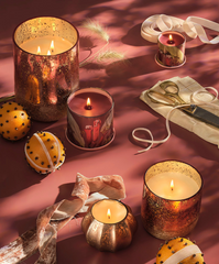 ILLUME Cardamom Pomander Autumn Holiday Candles