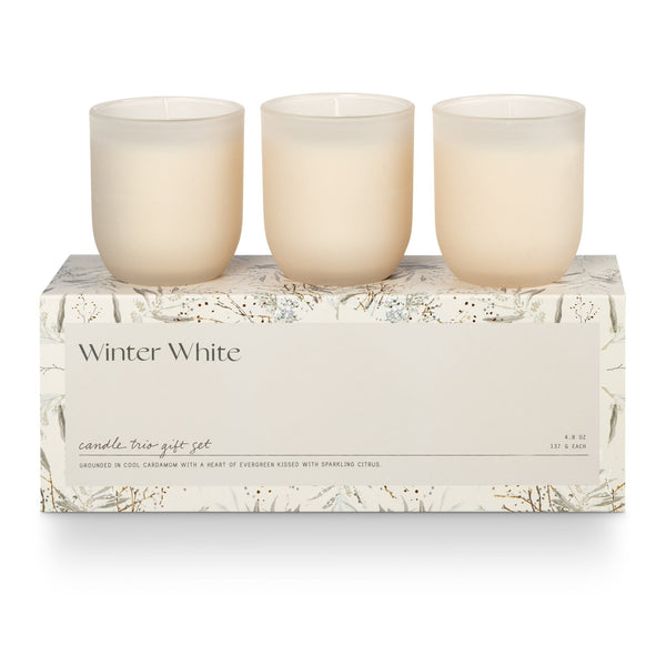 Balsam Hill - 2022 Holiday 2 - Illume® Balsam & Cedar Gifted Candle