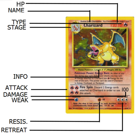 The parts you need to know on a Pokemon card.