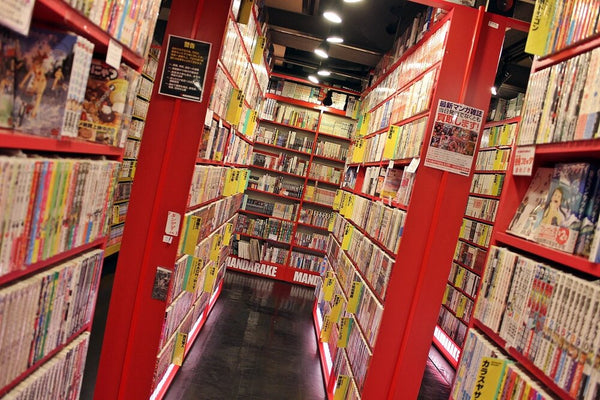 Anime stores Japan-Figure