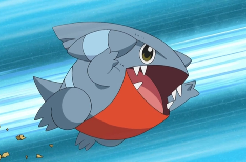 With a low encounter rate, Gible is a prized catch for any aspiring Pokemon trainer