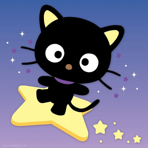 Chococat - an adorable black cat