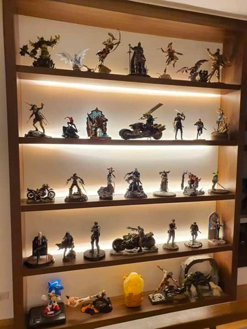 The best way to exhibit your collectibles is through the use of a dedicated display cabinet.