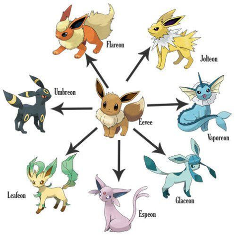 Eevee transformed into new forms