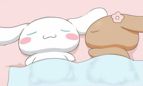 Cinnamoroll and Chiffon couple