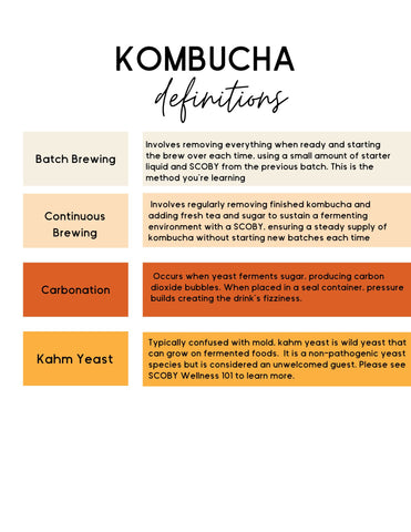 kombucha brewing definition