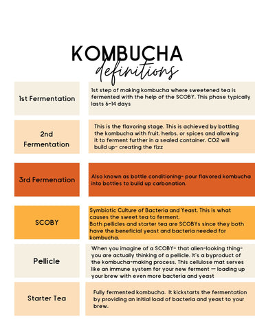 list of kombucha brewing definitions