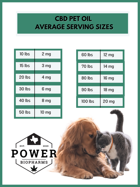 Pet serving suggestions