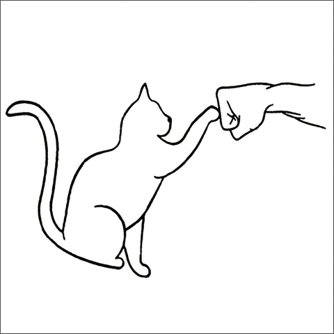 猫のイラスト