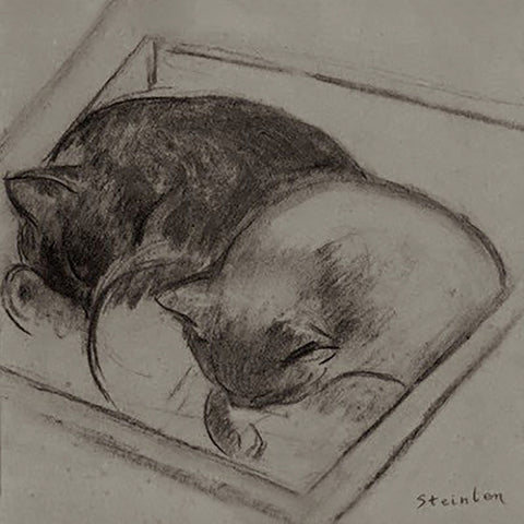 眠る猫のイラスト