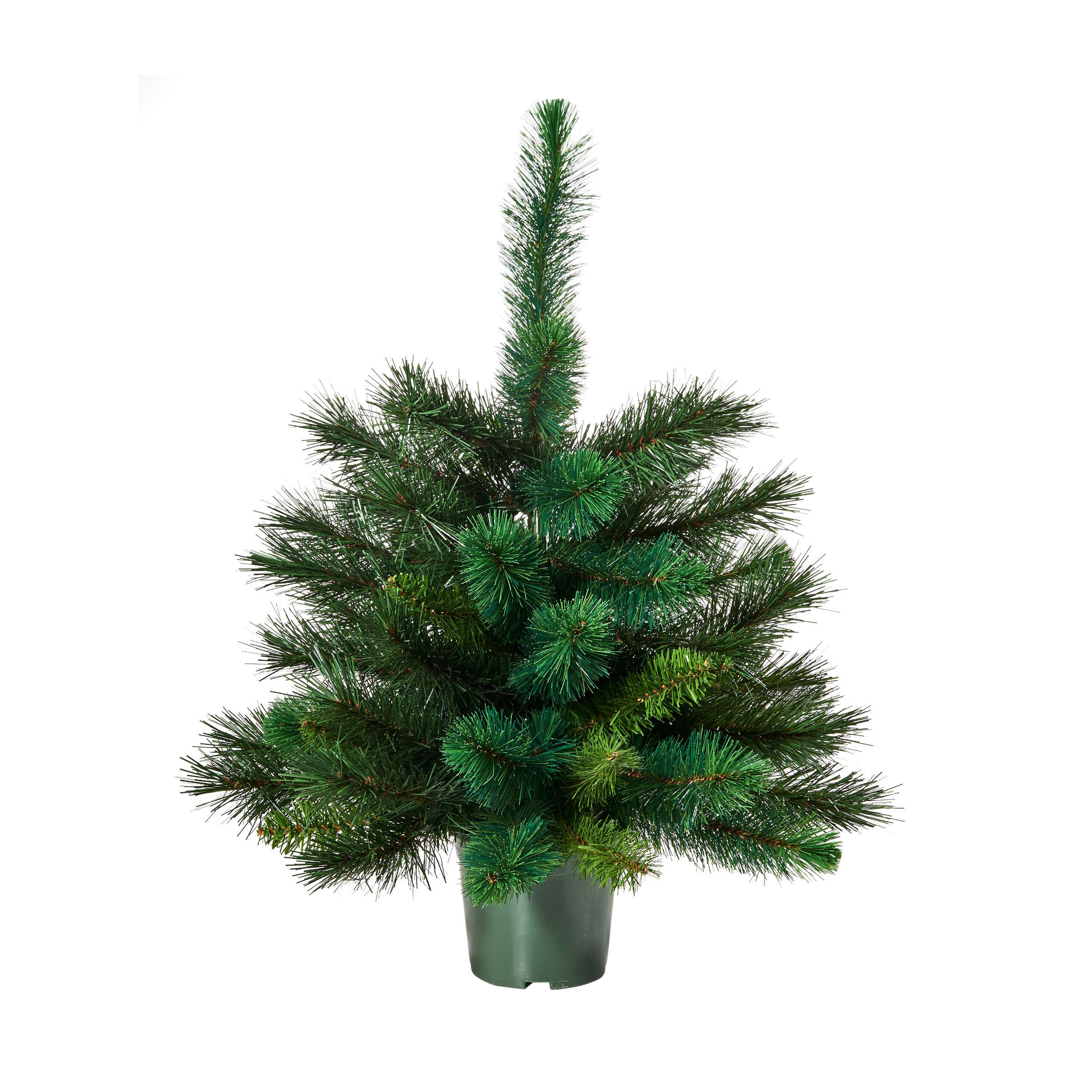 TREE OF THE MONTH Weihnachtsbaum Höhe 90cm