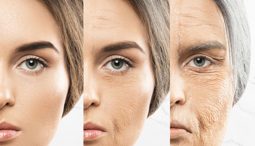 reduce premature skin aging-featured banner-1920X1100 (2).png__PID:e974cc8c-6350-4d89-a82b-03492556fedc