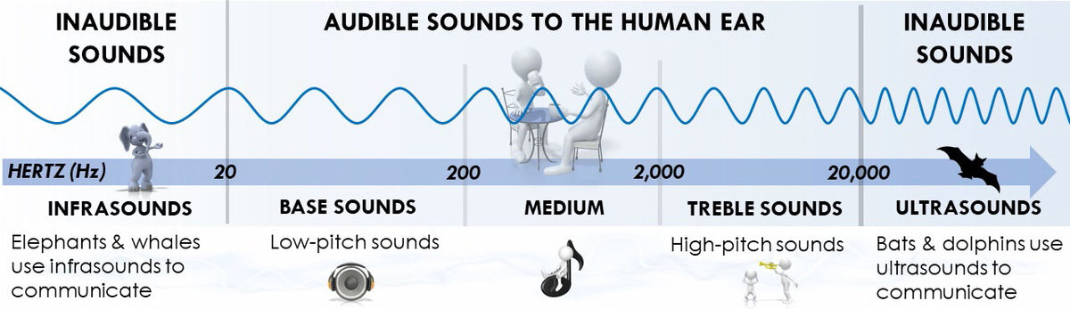 the speed of sound