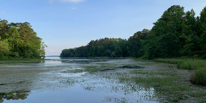 GUNTERSVILLE LAKE