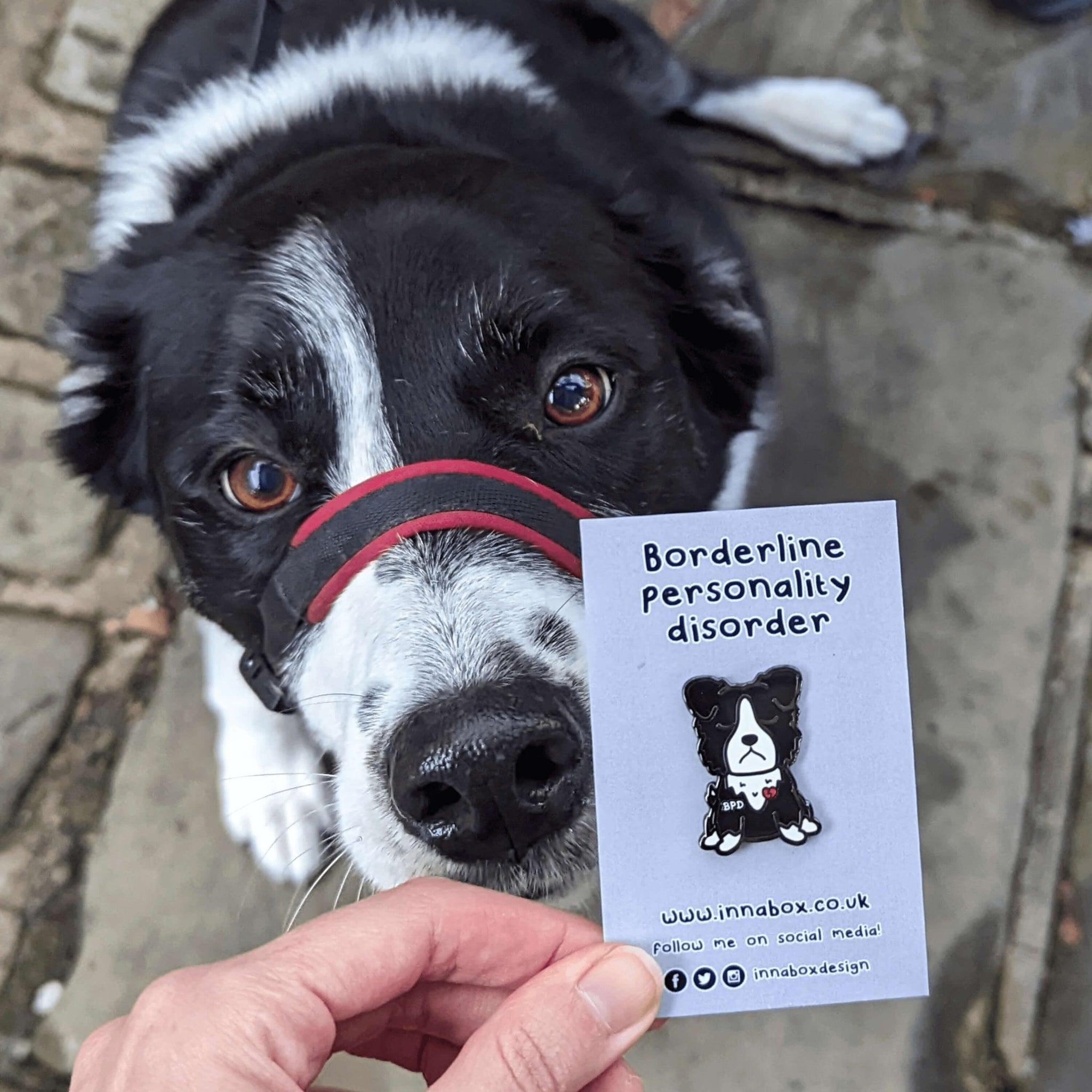 BPD Enamel Pin - Borderline Personality Disorder on a white backing card with the product title above and the innabox social media handles underneath, the pin is being held next to a black and white fluffy dog sniffing the pin. The black and white sad dog pin has a broken heart with BPD written across its chest. The pin is designed to raise awareness for Borderline Personality Disorder.