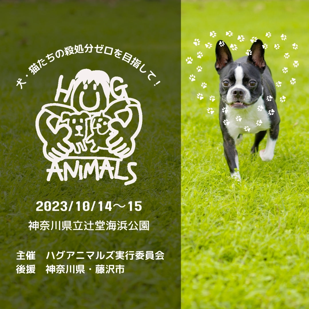 HUG ANIMAL VOL.20にジュレッタが出店します