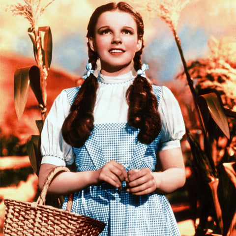 Dorothy from Wizard of Oz inspiration