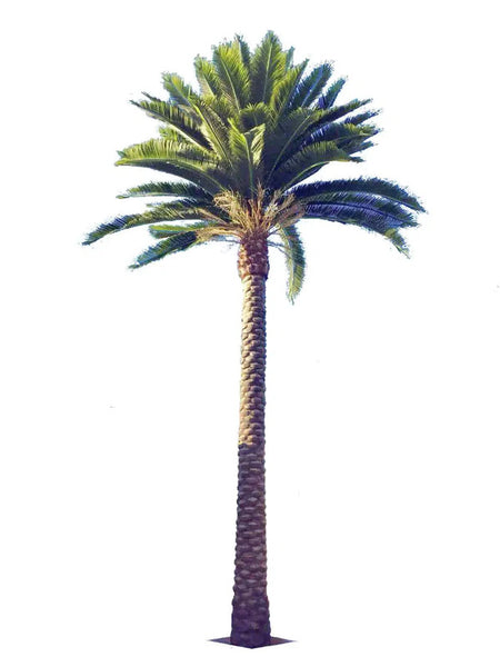 artificial Florida palm tree