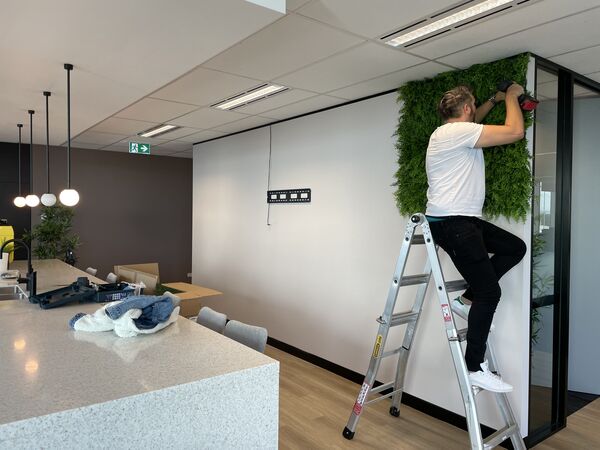 indoor artificial green walls installation