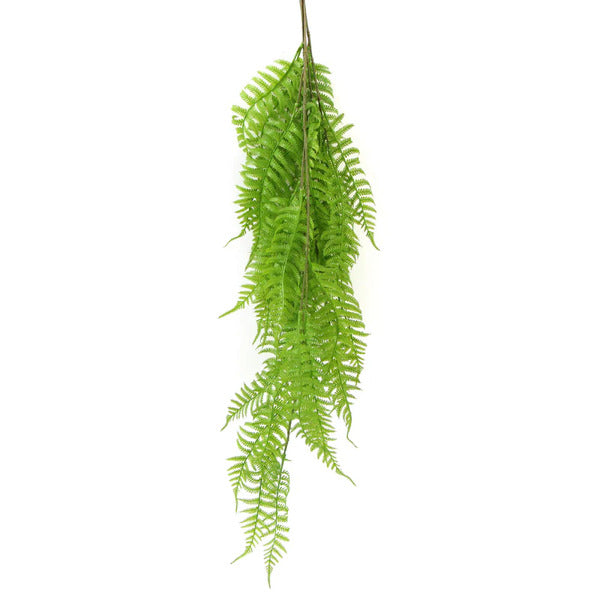 fake hanging fern plant