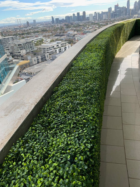 artificial wall hedge