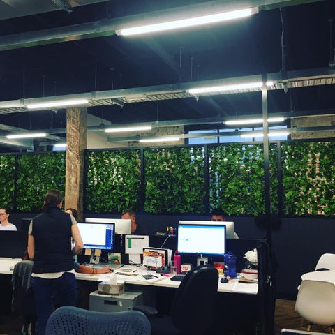 using artificial plants in office