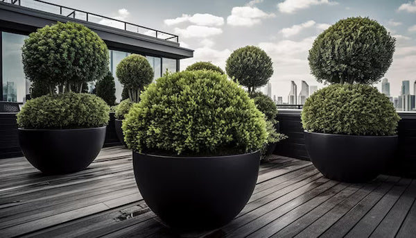 decking decoration with fake topiary balls