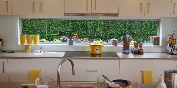 kitchen view greenery