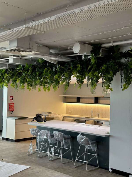 hanging artificial ivy plants in kitchen