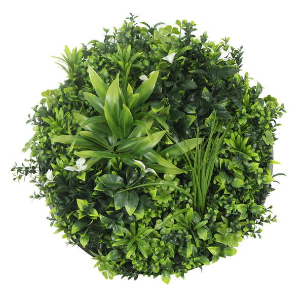 green wall disc